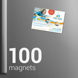 100 Fridge magnets