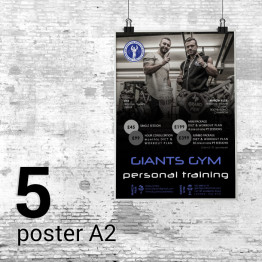 5 Posters A2 Satin