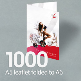 1000 A5 leaflet folded to A6 Gloss/Silk