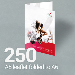 250 A5 leaflet folded to A6 Gloss/Silk