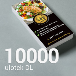 10000 Ulotka DL Gloss/Silk