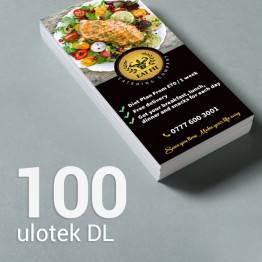 100 Ulotka DL Gloss/Silk