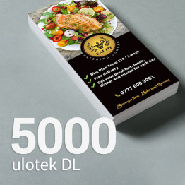 5000 Ulotka DL Gloss/Silk