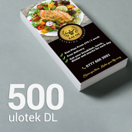 500 Ulotka DL Gloss/Silk