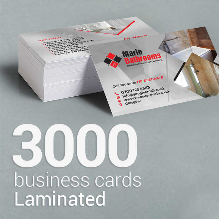 3000 Laminated business cards