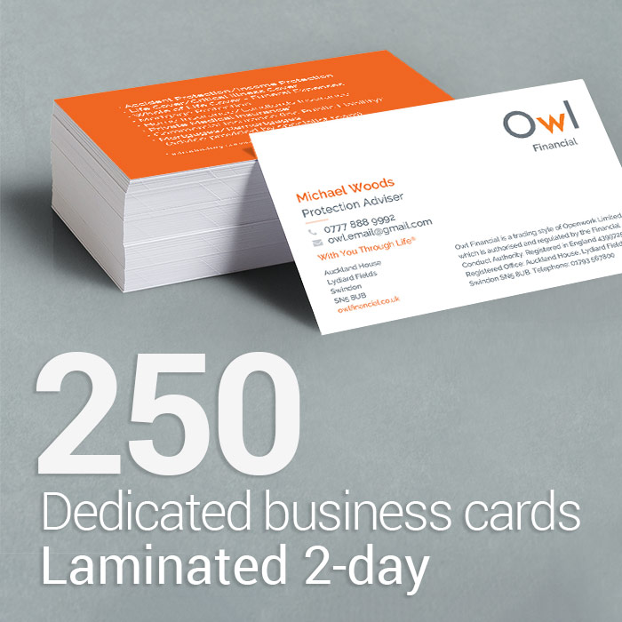 250 Business cards for OWL Financial | Supreme Financial Solutions Ltd
